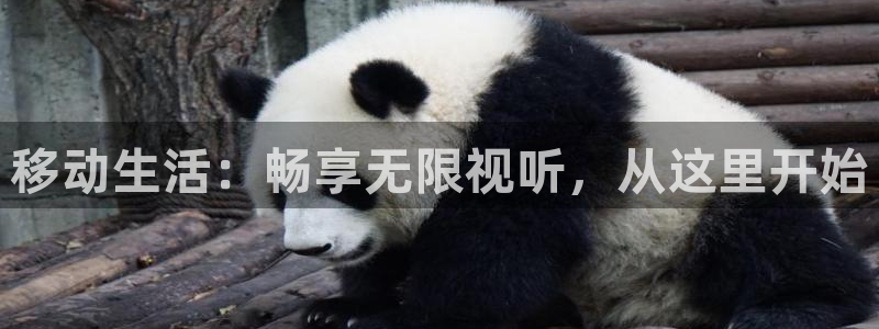 西瓜西瓜播放器