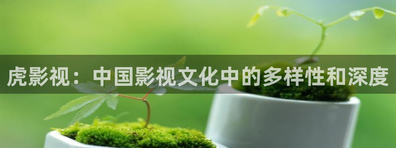 后浪电视剧免费观看完整版西瓜影院：虎影视：中国影视文化中的多样性和深度